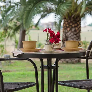 Bed & Breakfast Degli Oleandri